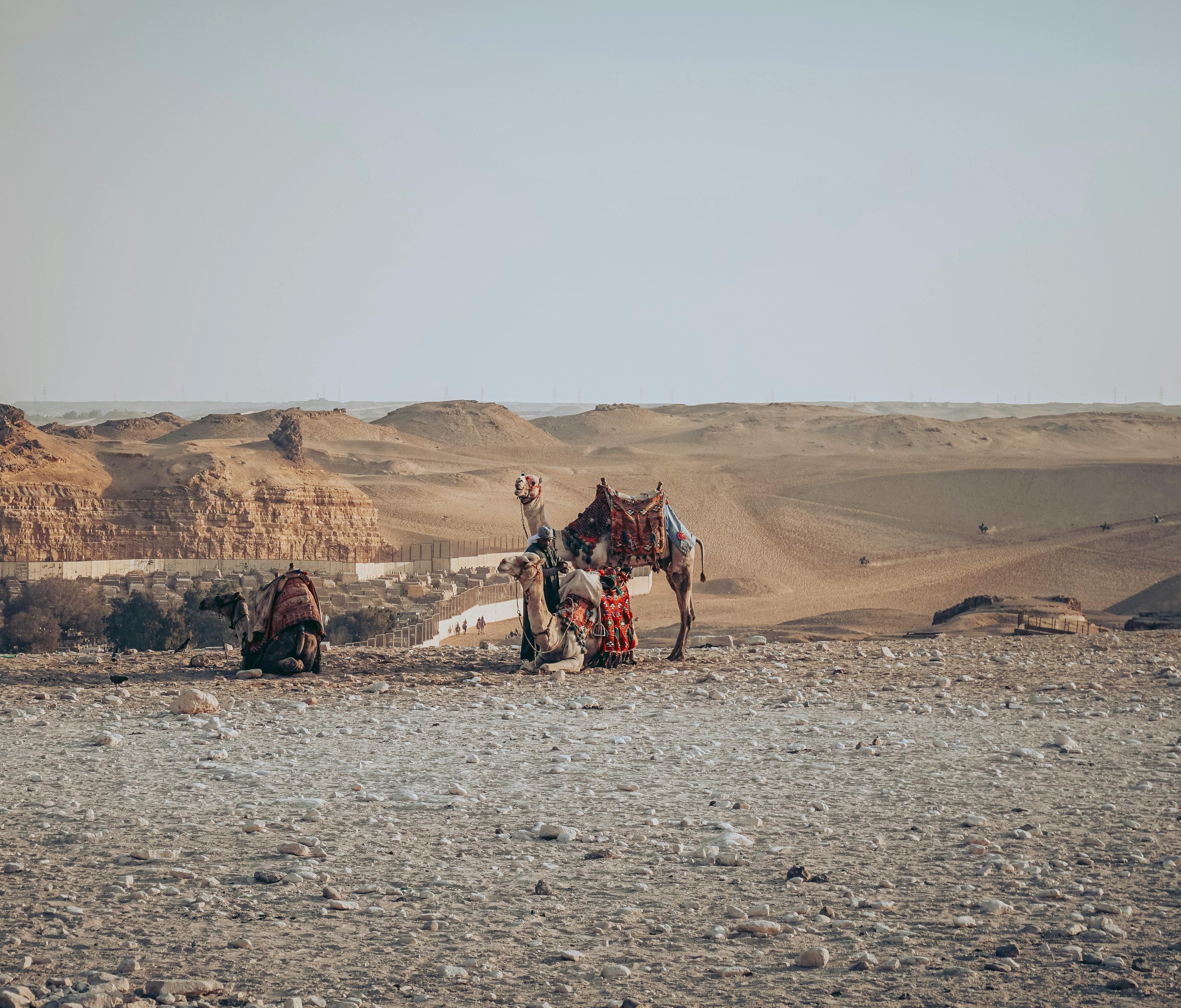 Laissez-vous guider vers votre Égypte