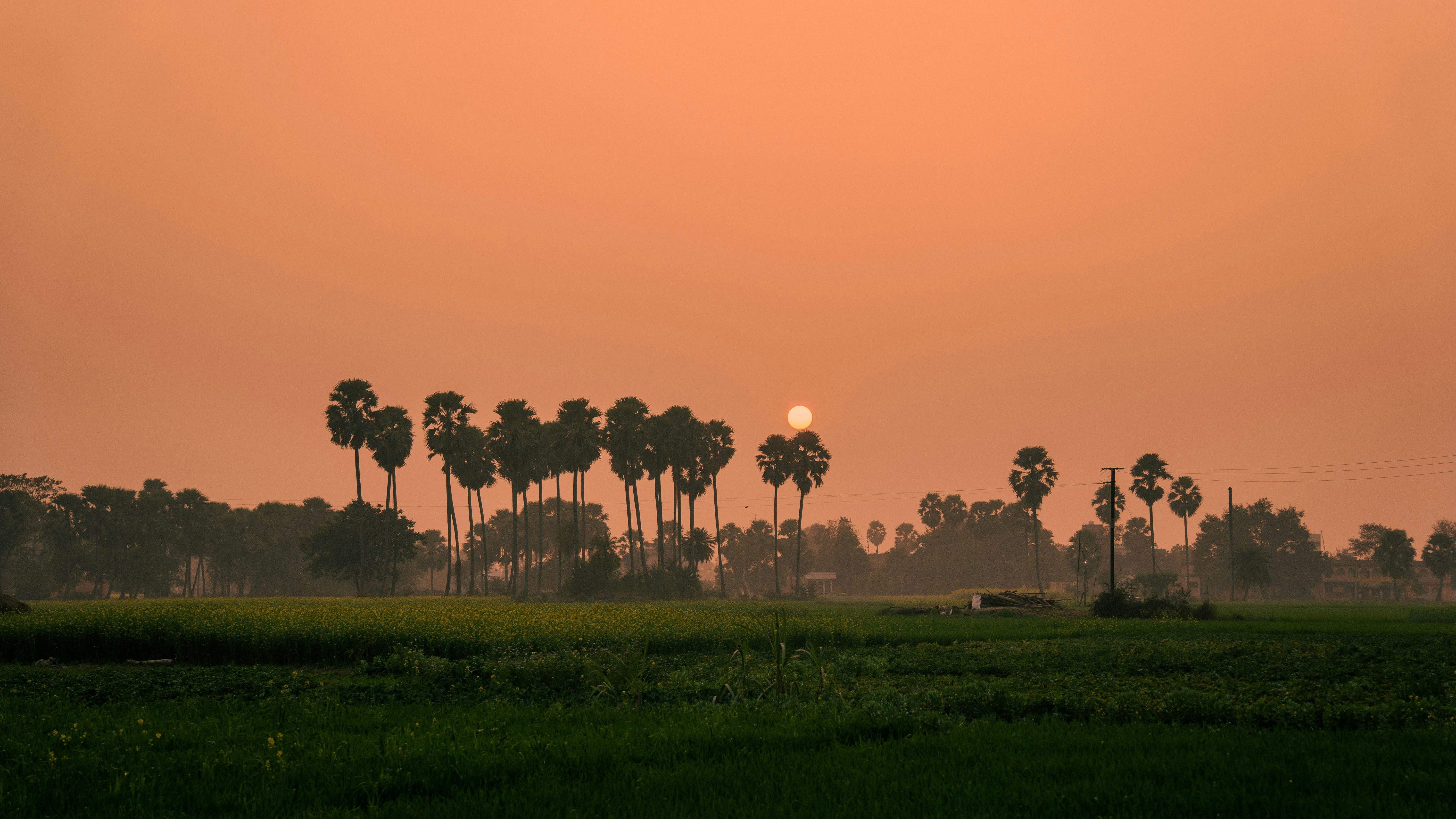 Quand partir en Inde avec Shanti Om ?