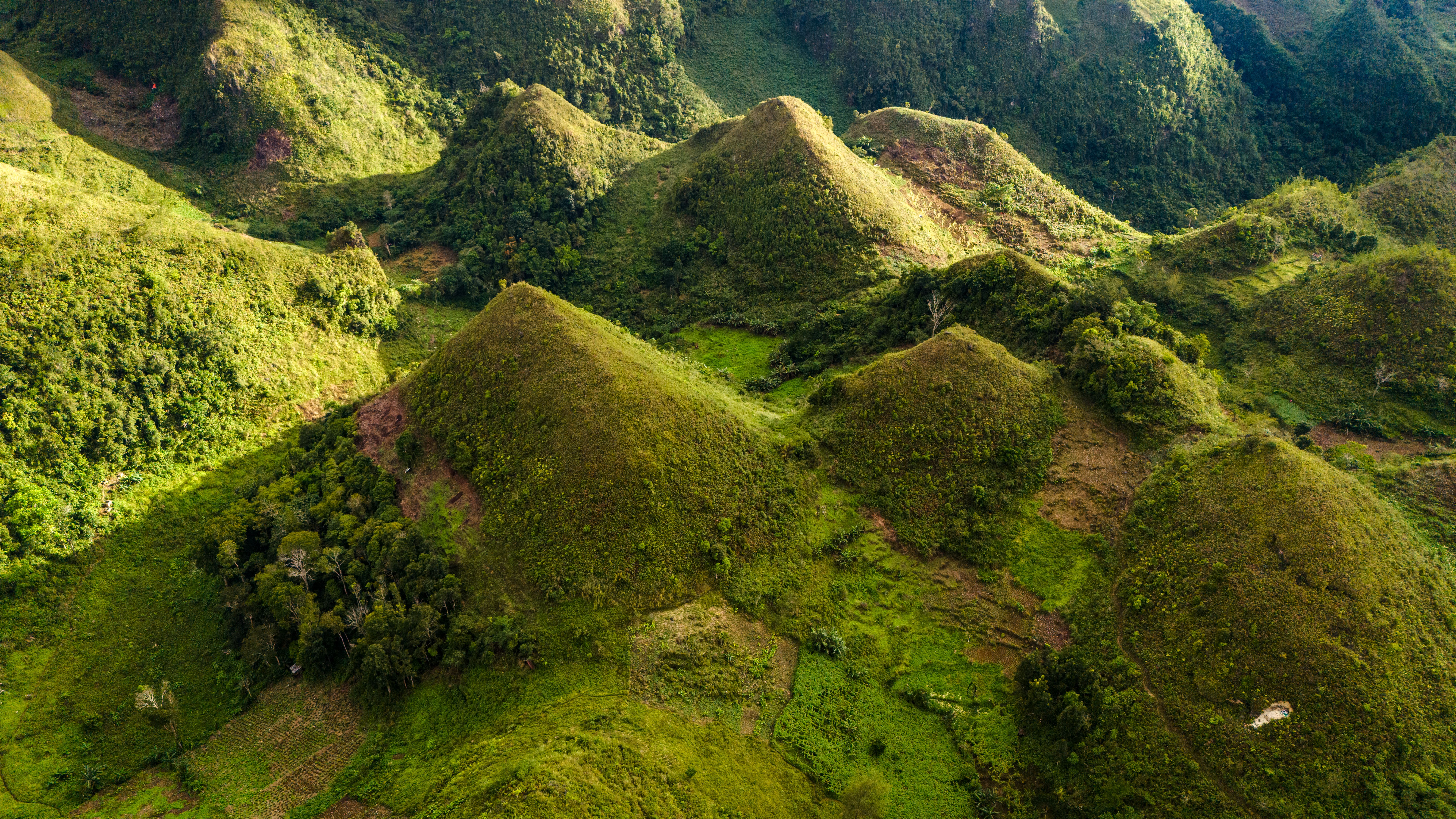 Cebu City / Osmeña Peak / Argao 