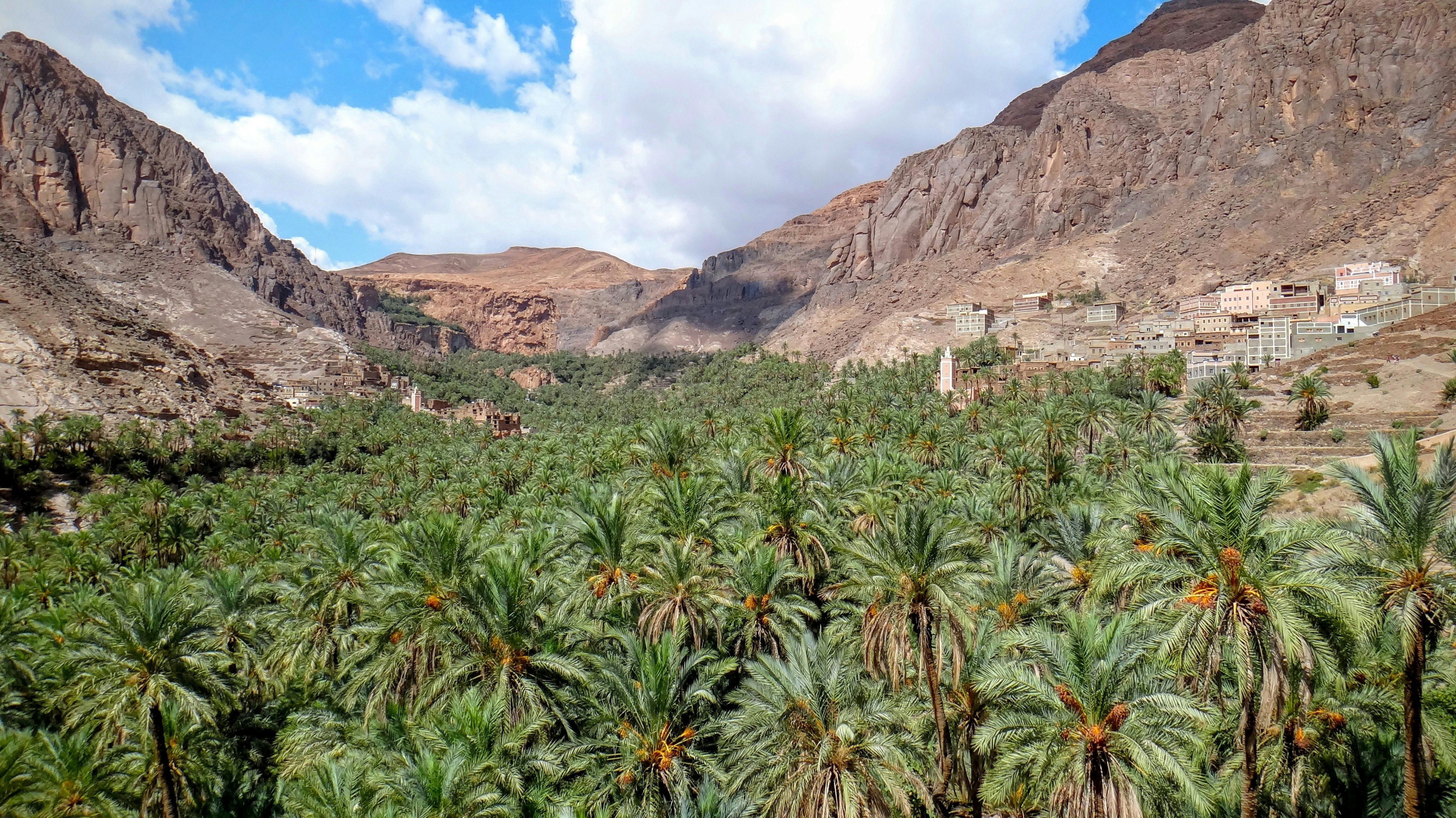 Marrakech : Jardins sacrés et sérénité