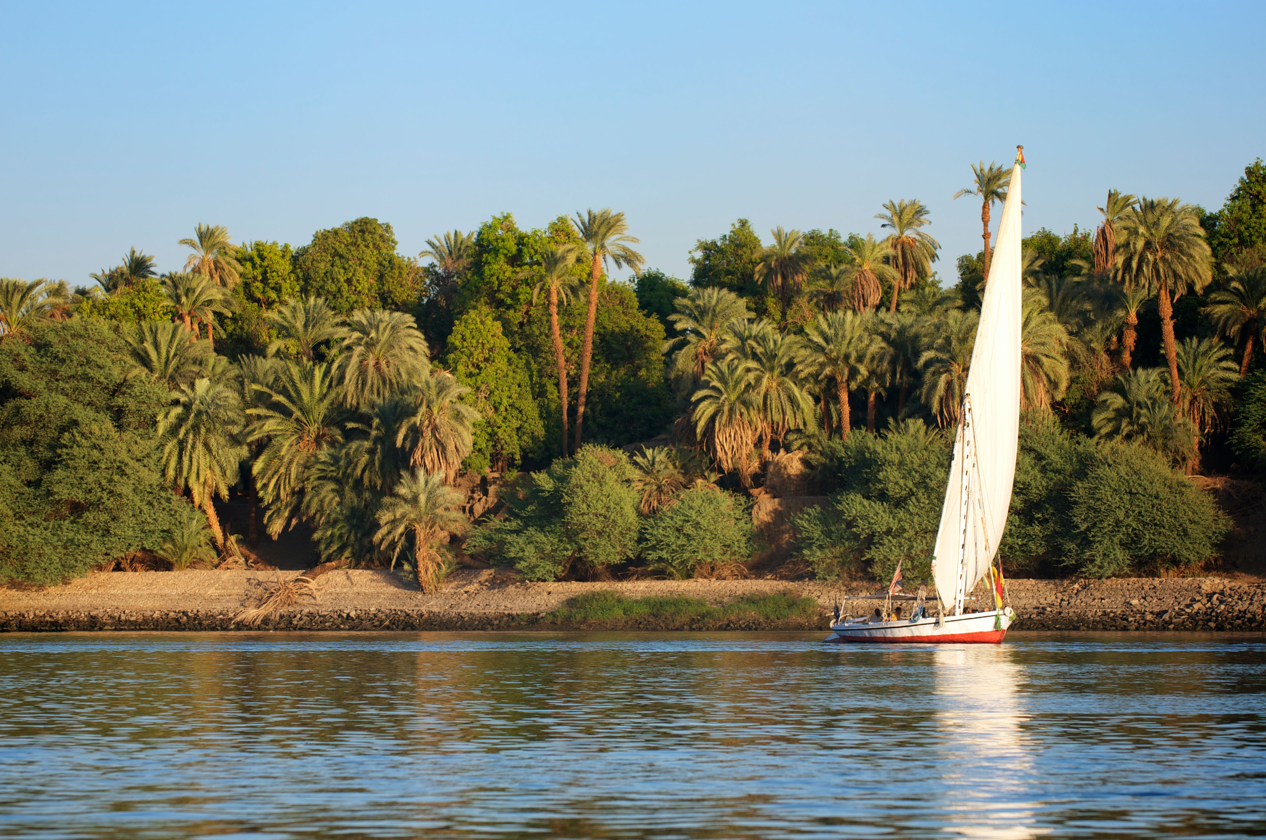Une felouque navigue paisiblement sur le Nil, offrant une expérience de sérénité au cœur de l'Égypte.
