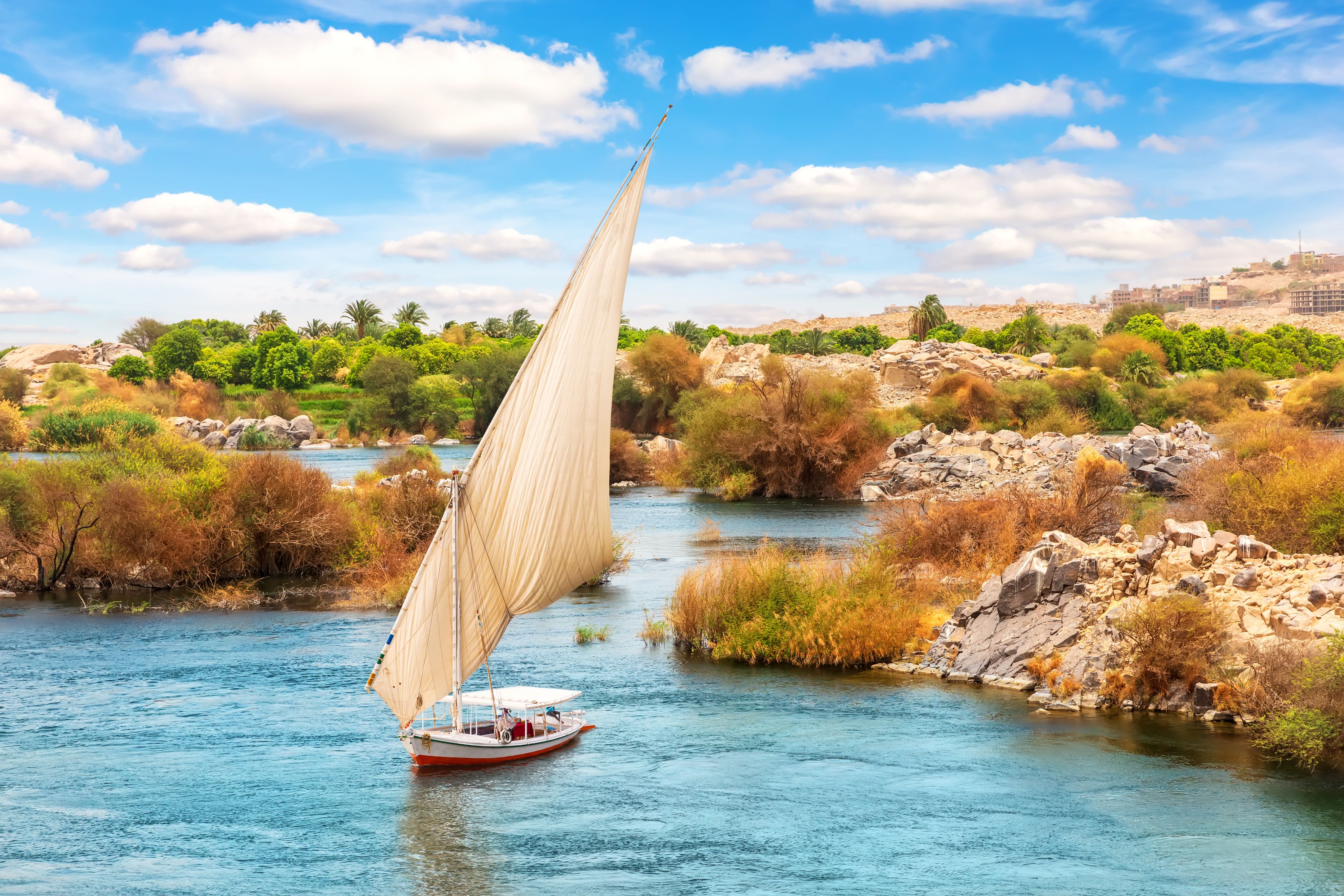 Une felouque navigue sur le Nil bordé de végétation luxuriante, au cœur des paysages paisibles de l'Égypte.