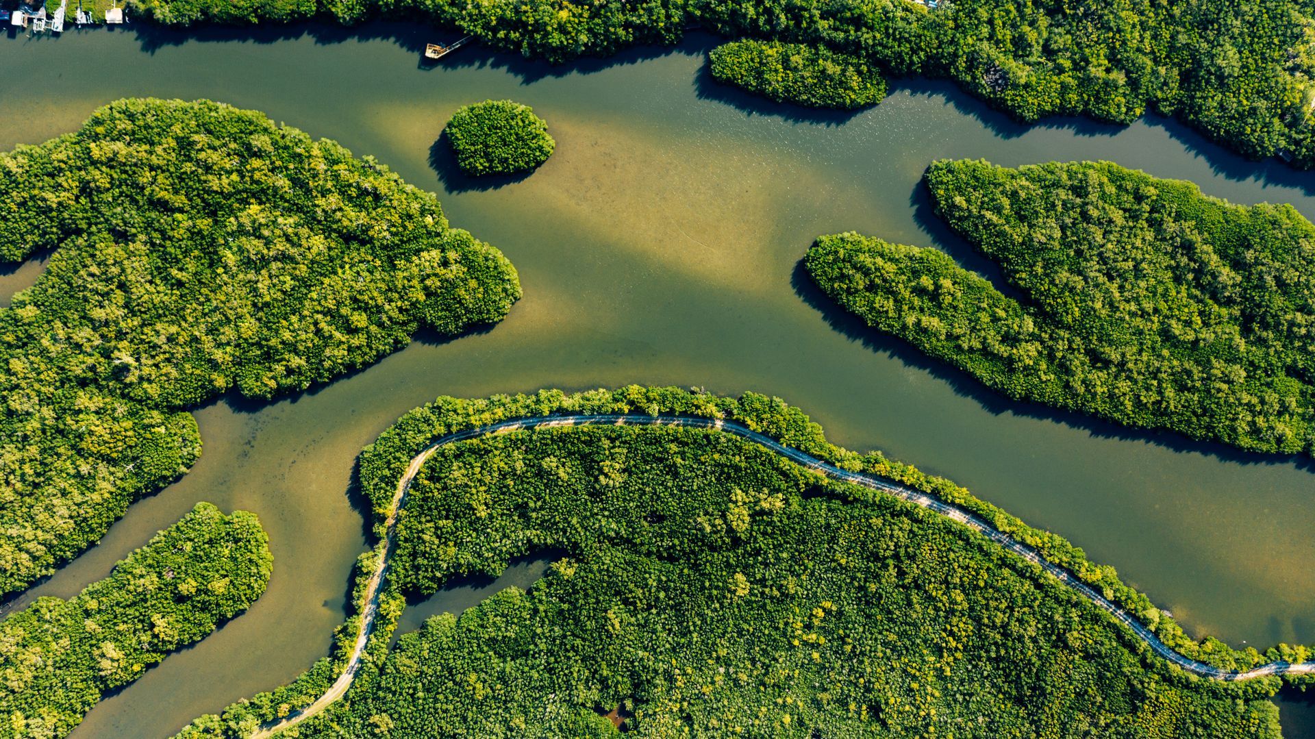 Forêt amazonienne au Brésil, vaste paysage tropical et incontournable naturel d’un voyage au Brésil.