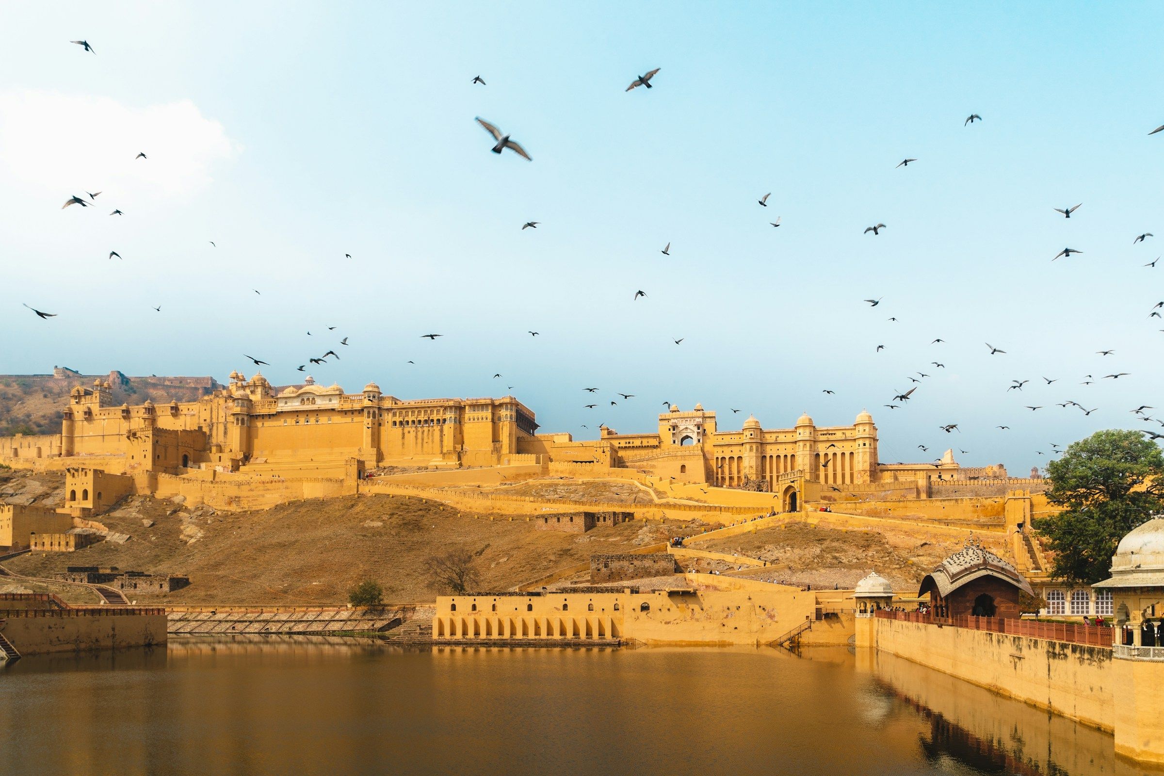 Le Fort d'Amber à Jaipur, l'un des plus beaux palais du Rajasthan en Inde du Nord.