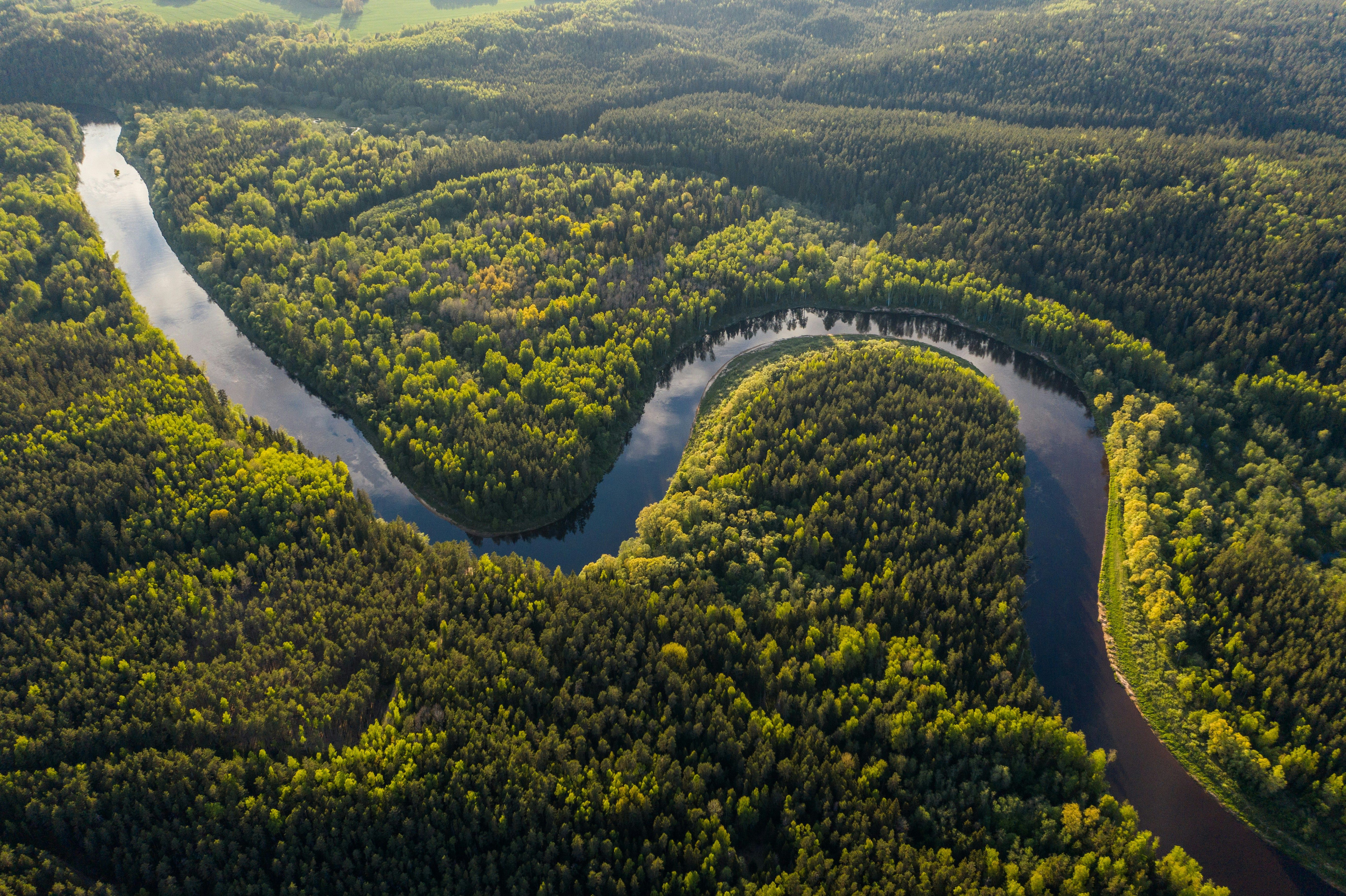 Amazonie : La Forêt des Âmes