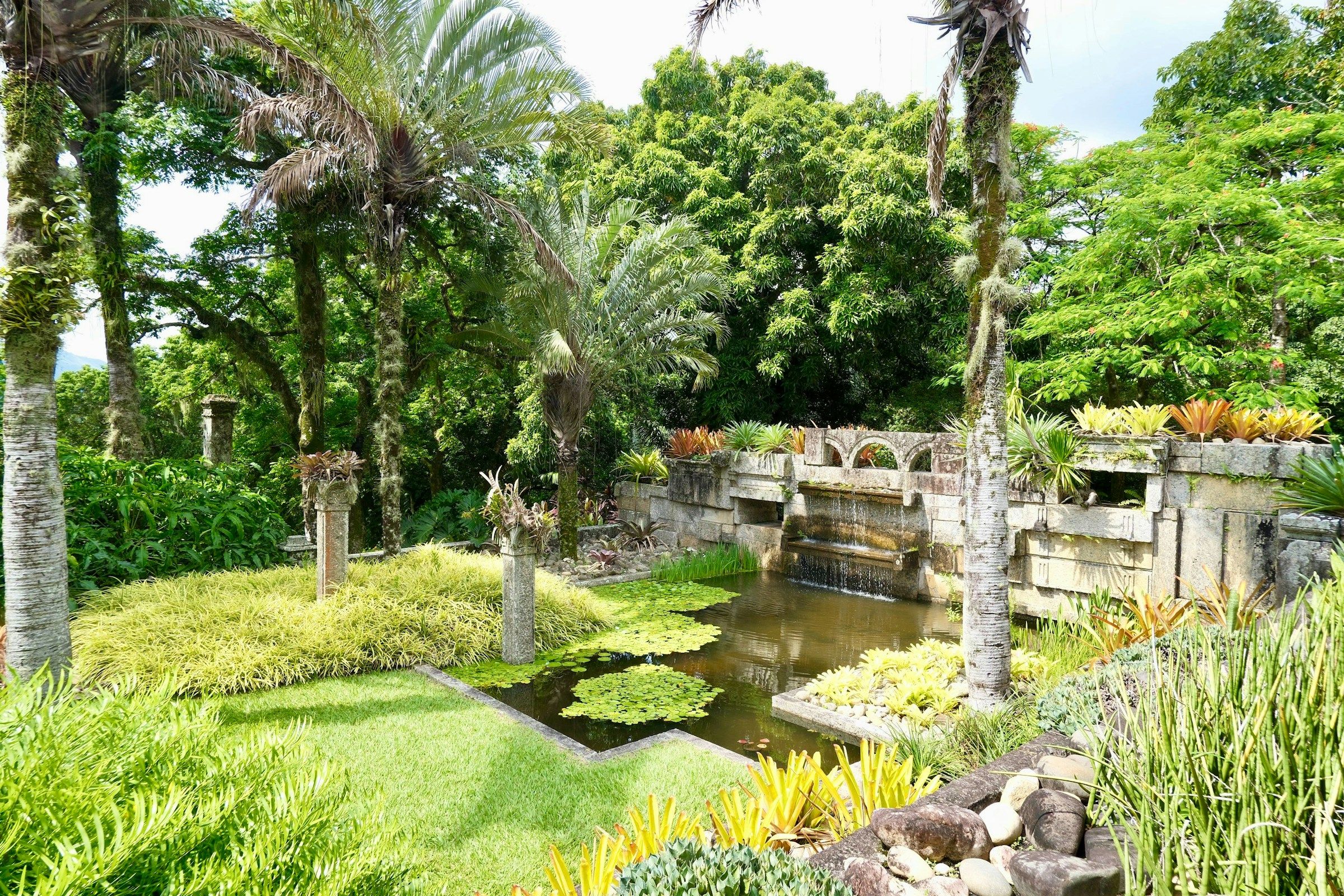 Jardim Botânico de Rio de Janeiro au Brésil, jardin tropical et célèbre allée de palmiers impériaux