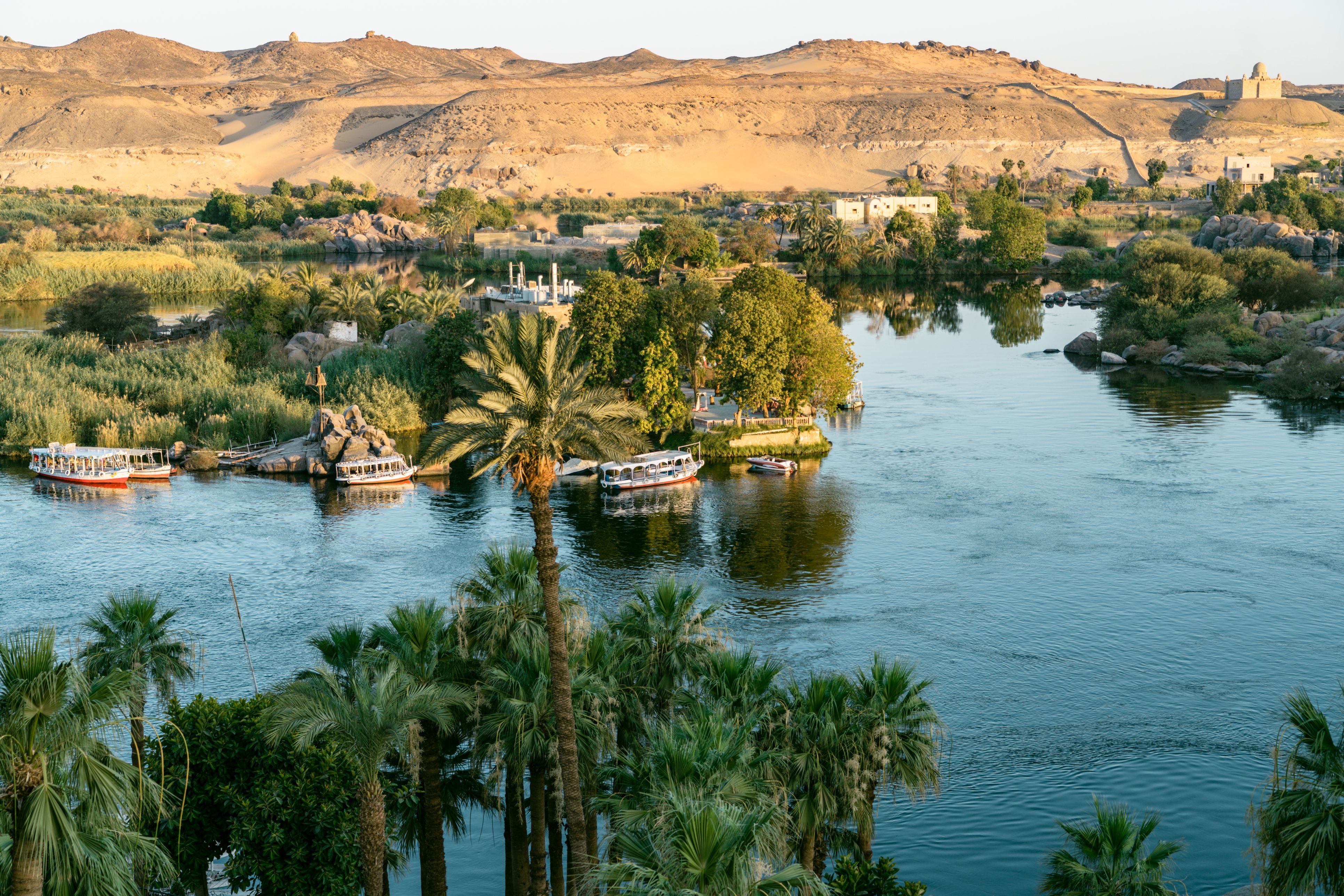 Les rives verdoyantes du Nil en Égypte, un paysage propice à la contemplation et au bien-être.