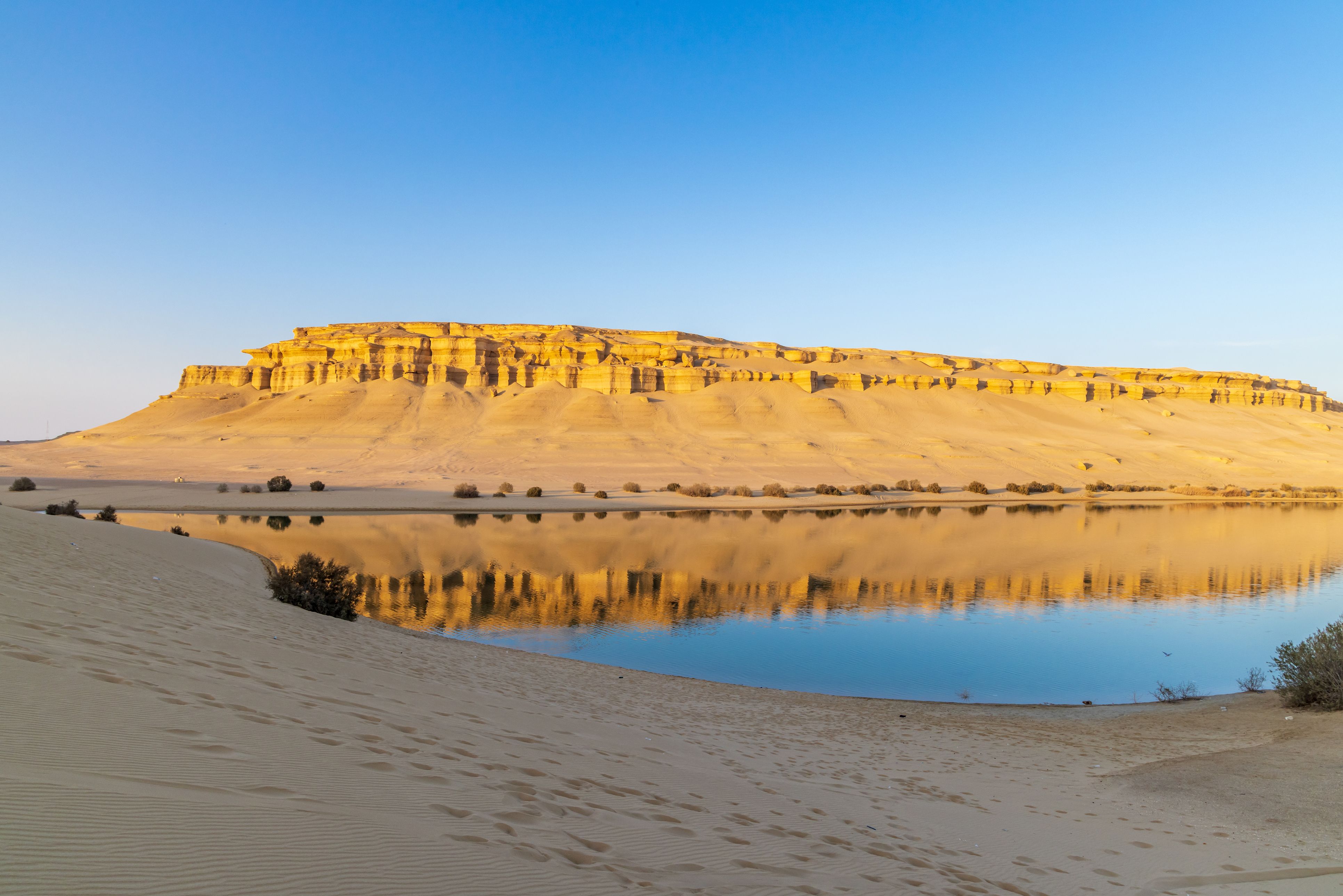 Une oasis en Égypte, havre de paix au cœur du désert, propice au bien-être et à la contemplation.