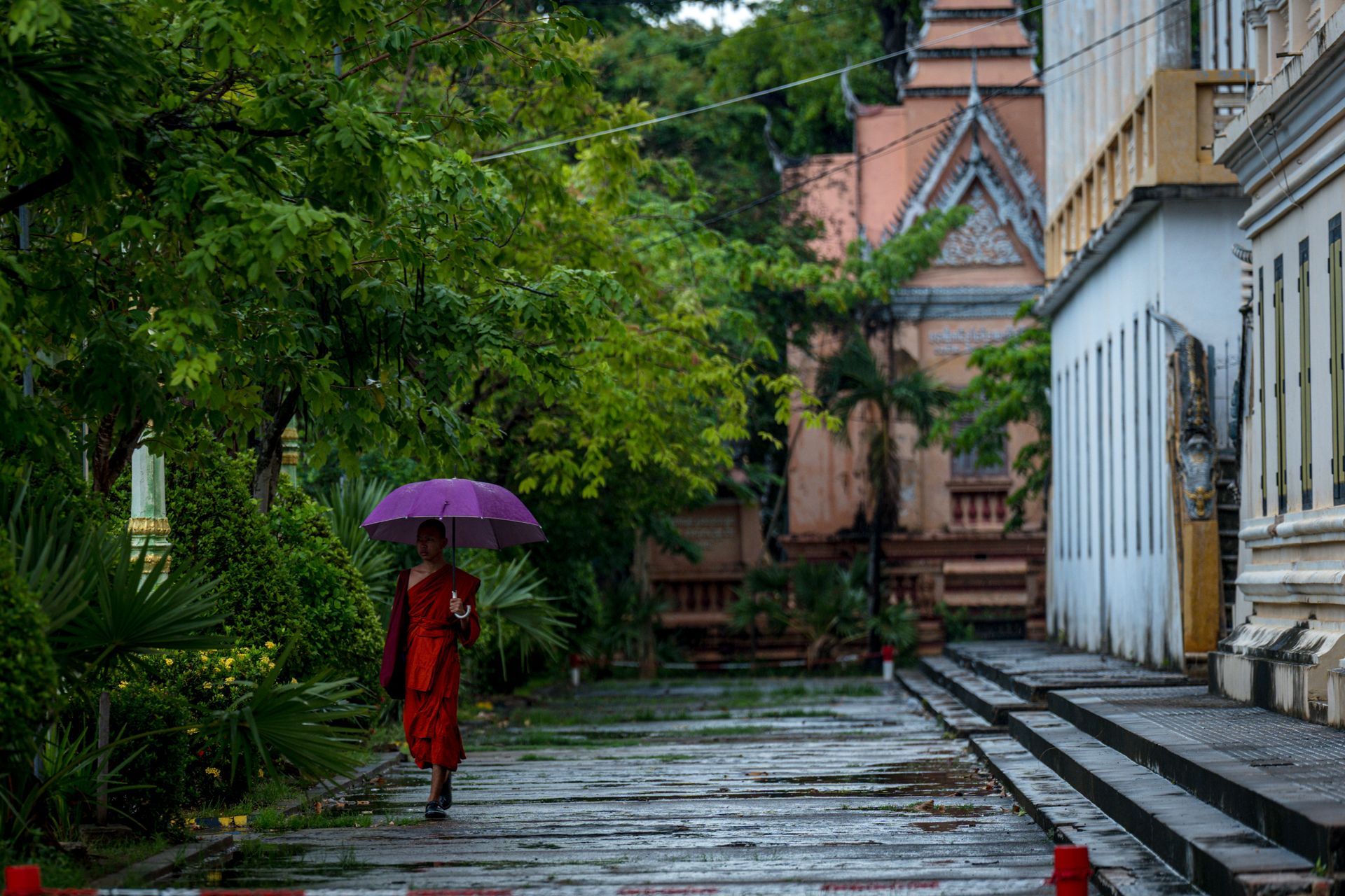 Phnom Penh - Siem Reap (en vol) 
