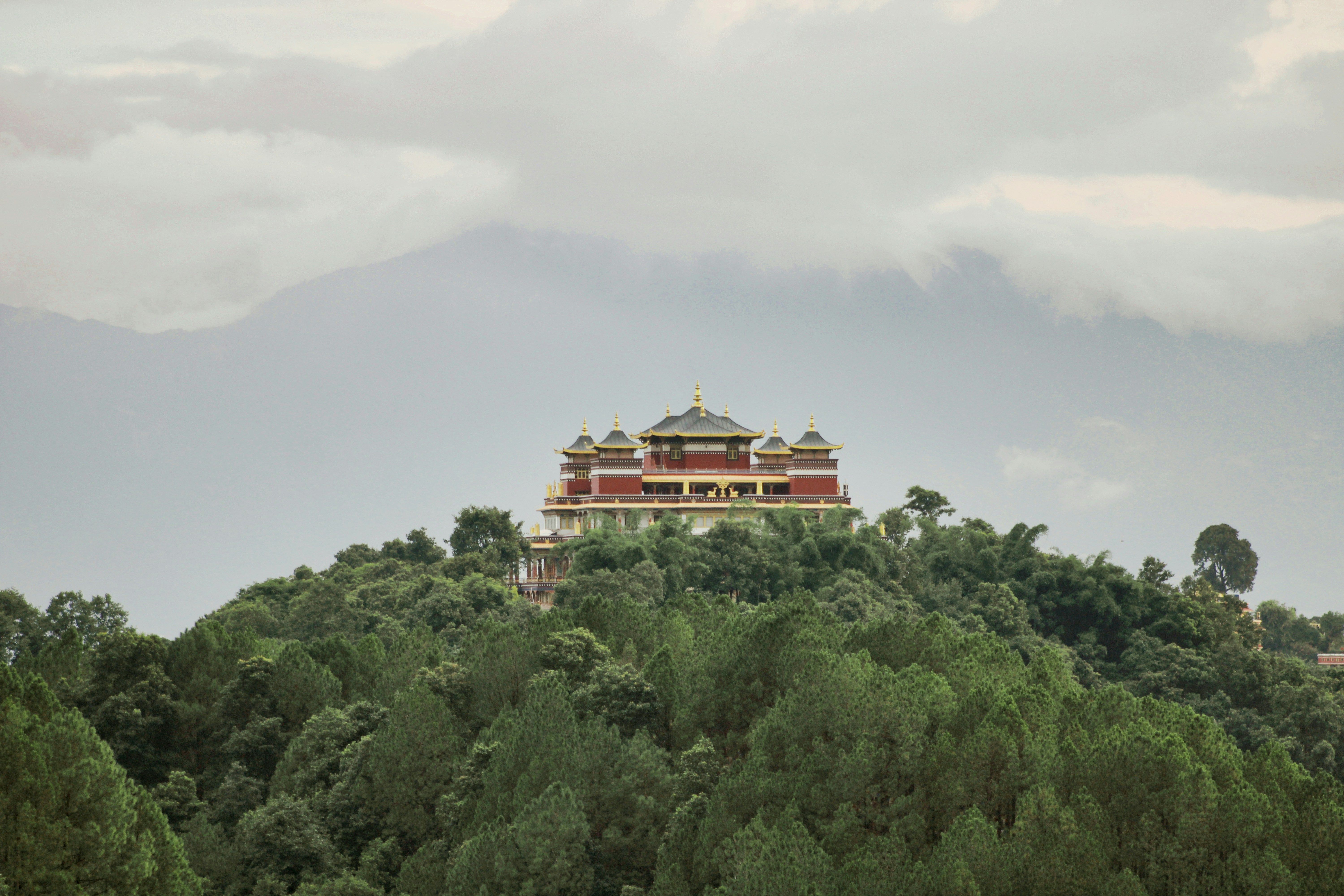 Le Monastère de Neydo : immersion dans la tradition tibétaine