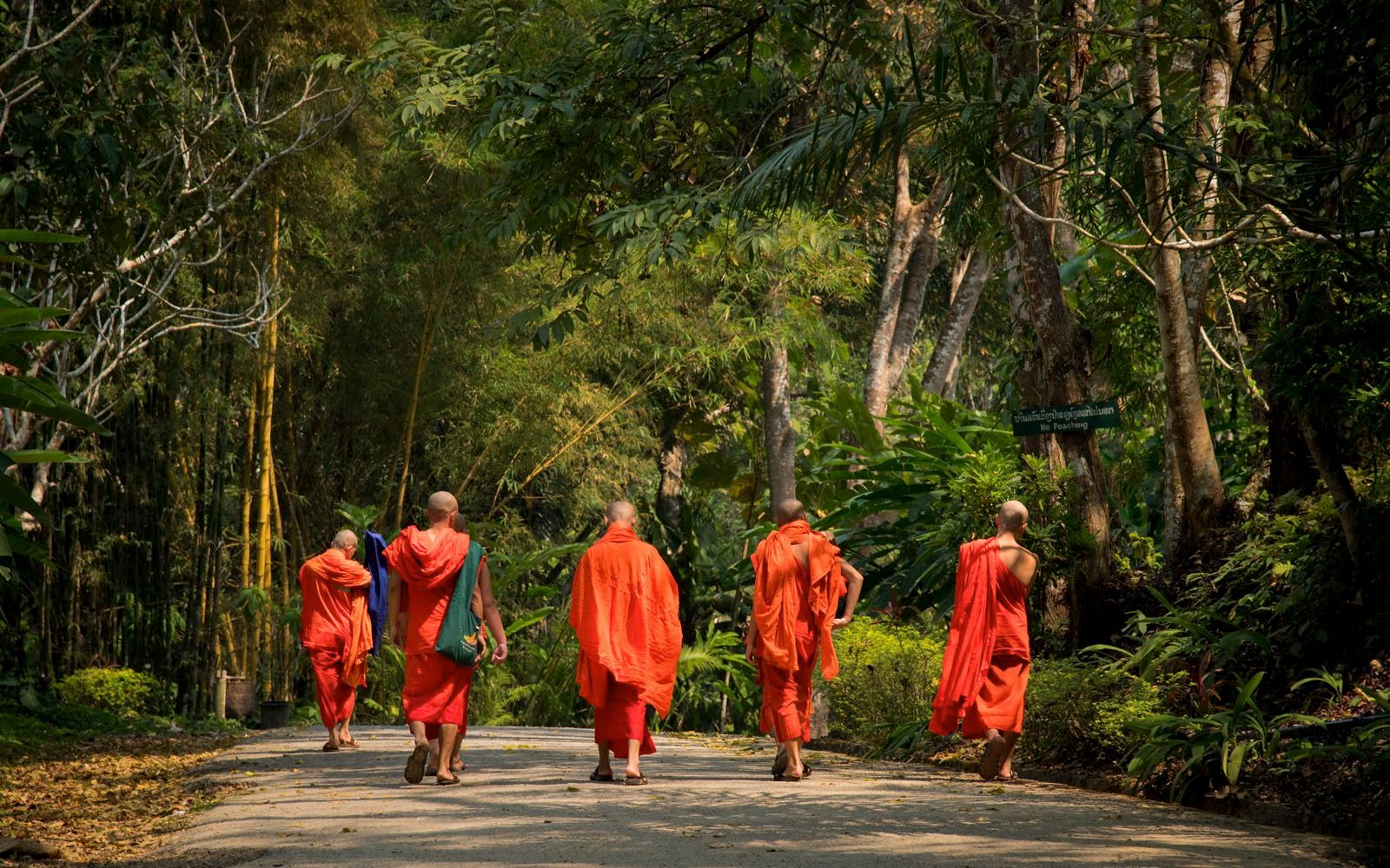 Siem Reap, bien plus qu'une porte vers Angkor