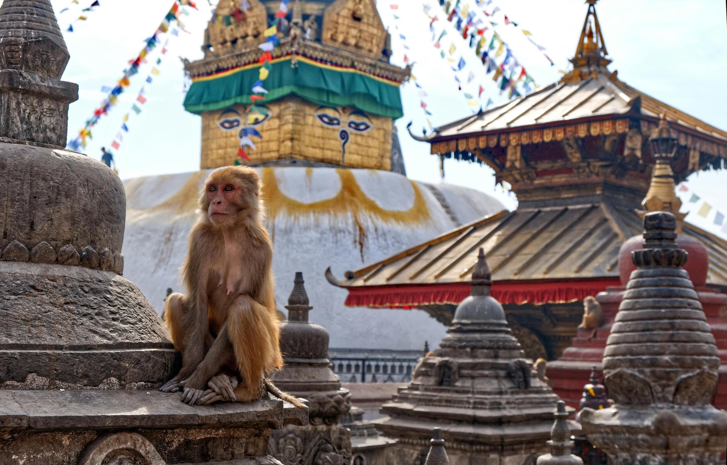 Kathmandou - Swayambhunath - Patan