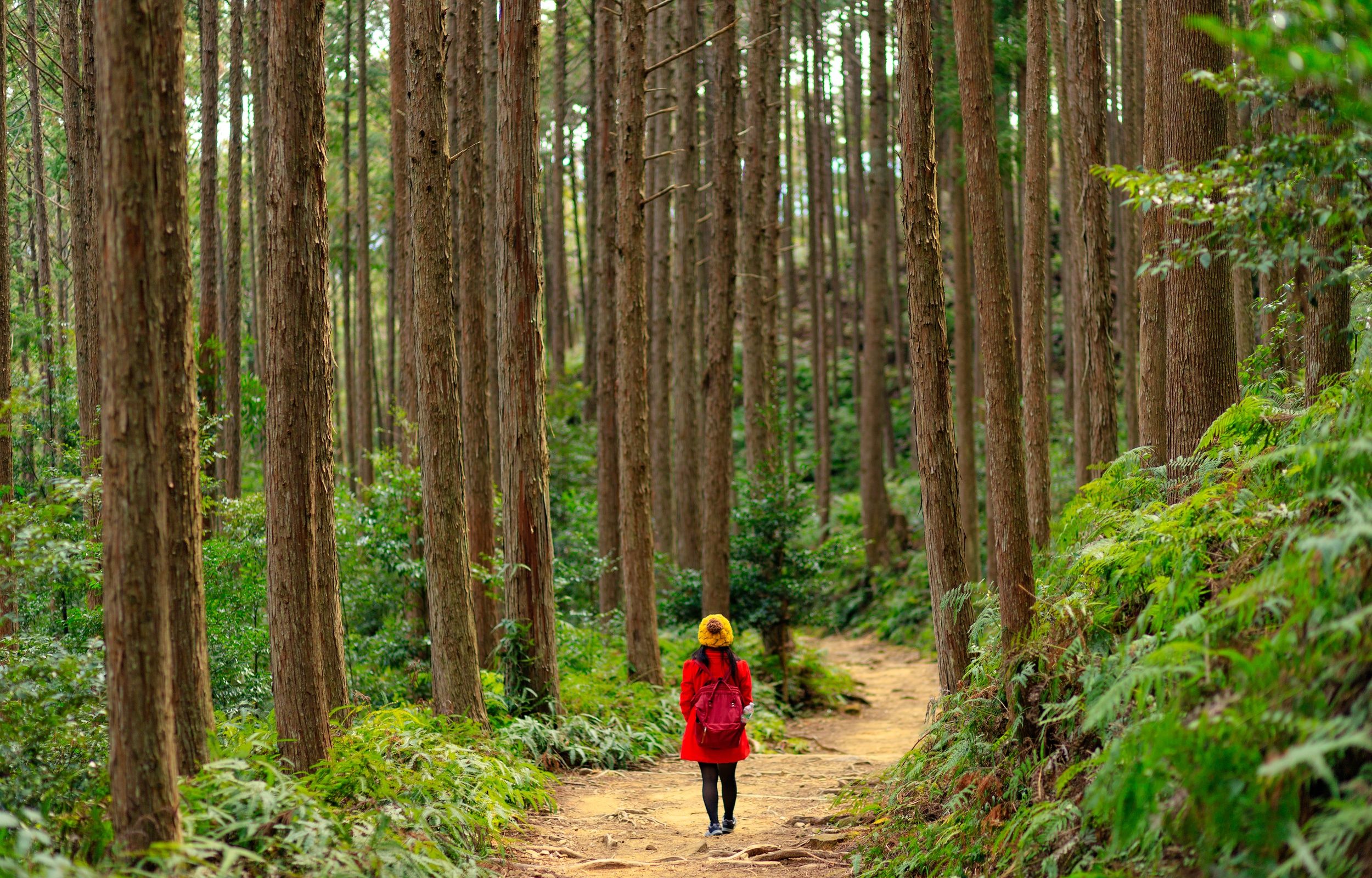 Mont Koya - Takijiri Oji - Takahara