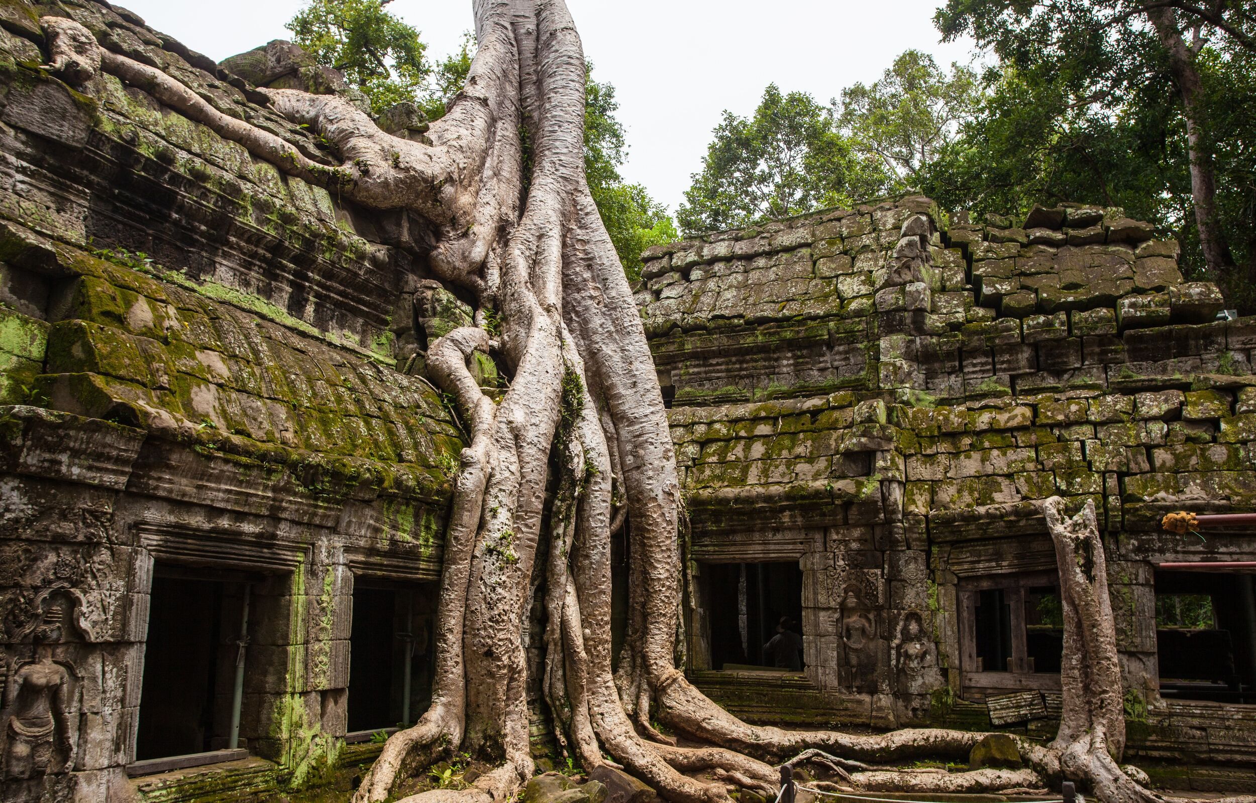 Banteay Srey, Ta Prohm : l'art khmer dans toute sa puissance