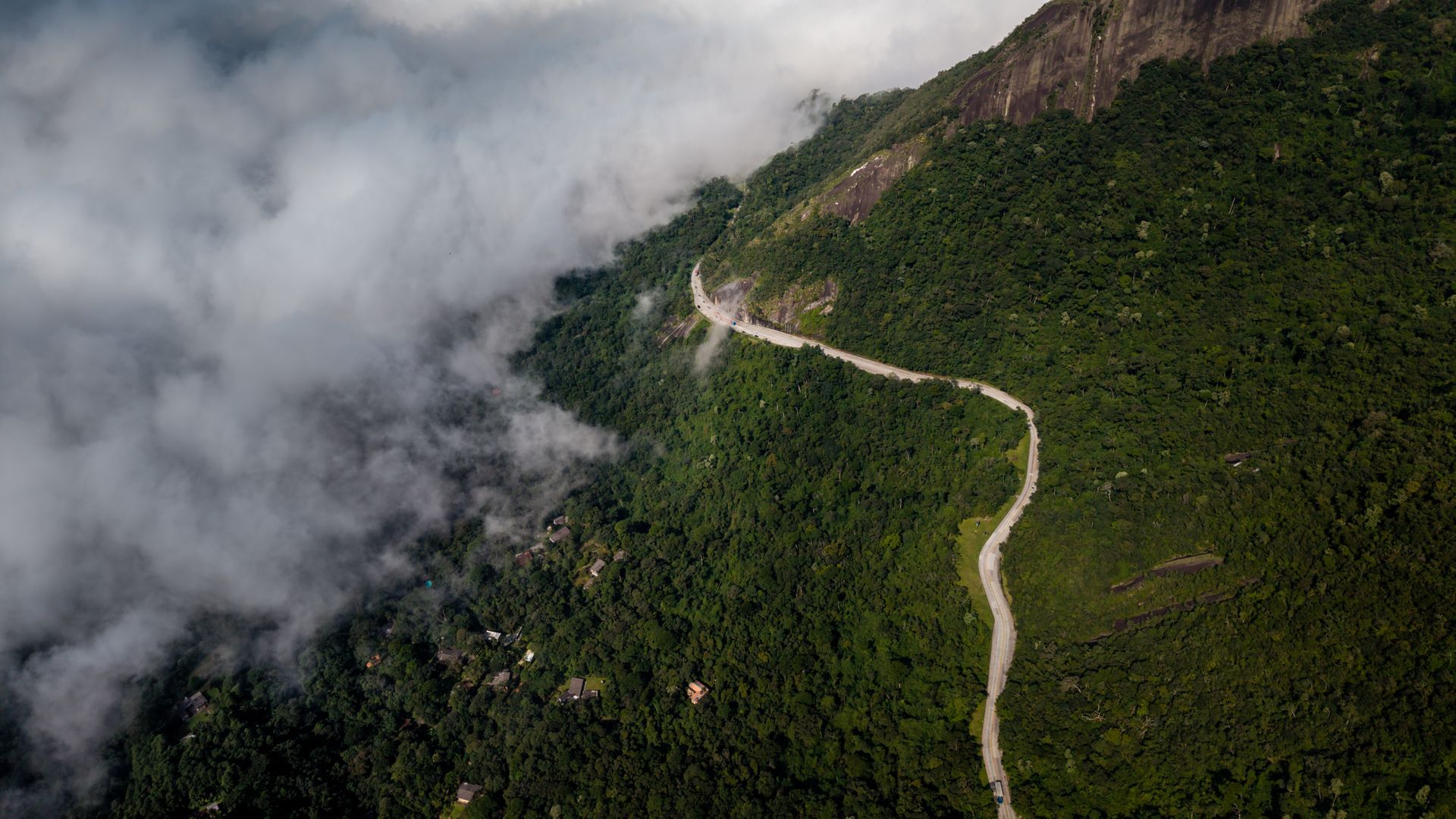 Forêt de Tijuca à Rio de Janeiro au Brésil, forêt tropicale au cœur de la ville