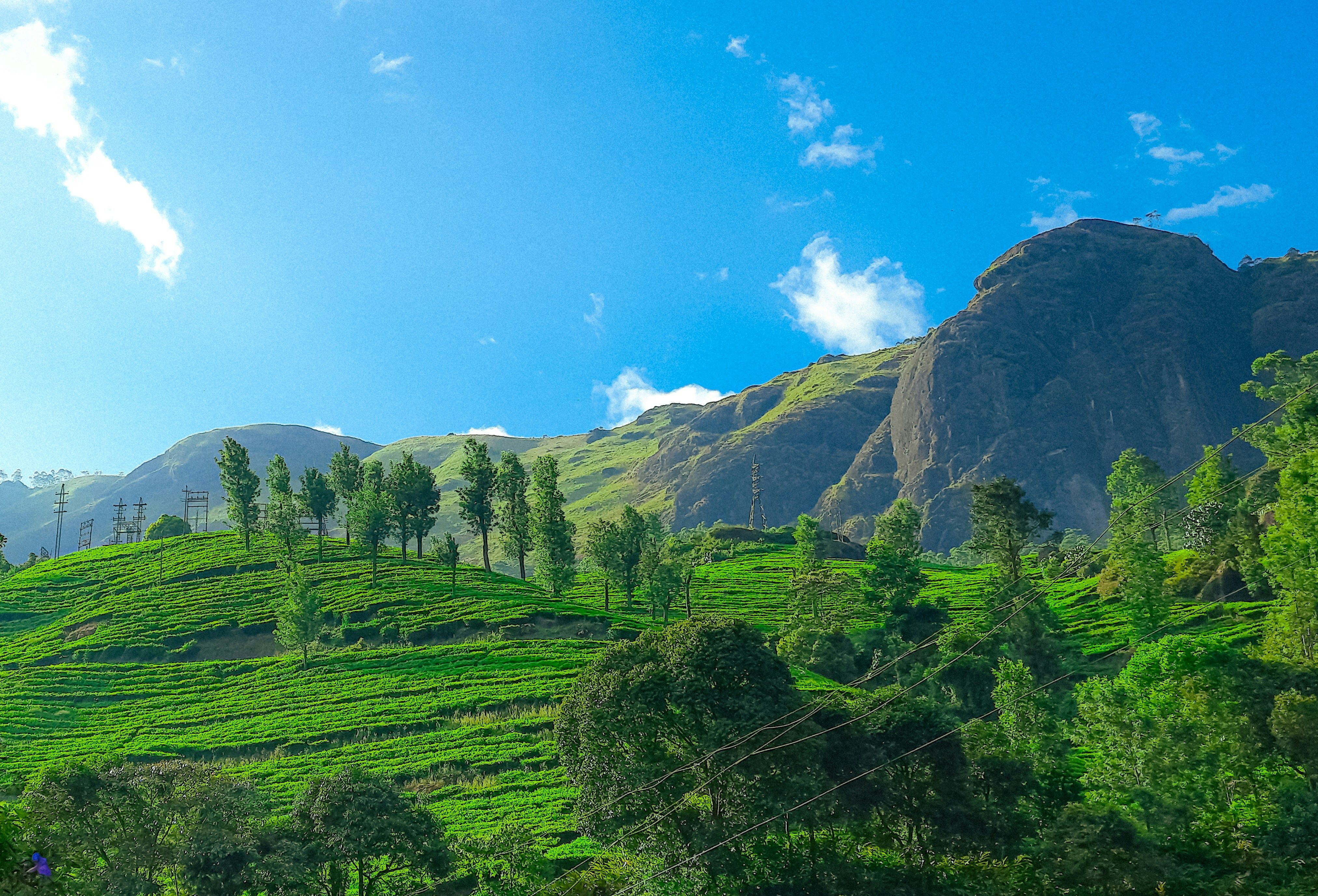 Cochin - Munnar